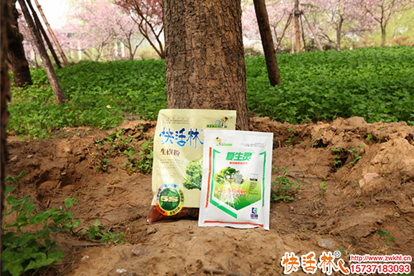 用樹木生根粉養(yǎng)護(hù)使用技巧，生根粉生產(chǎn)廠家哪個(gè)好？