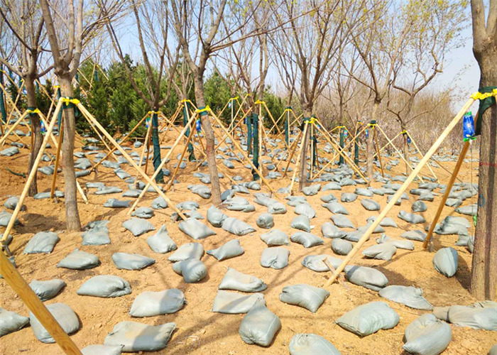 快活林綠化樹營養(yǎng)液價格表，每個工程都要省錢省心