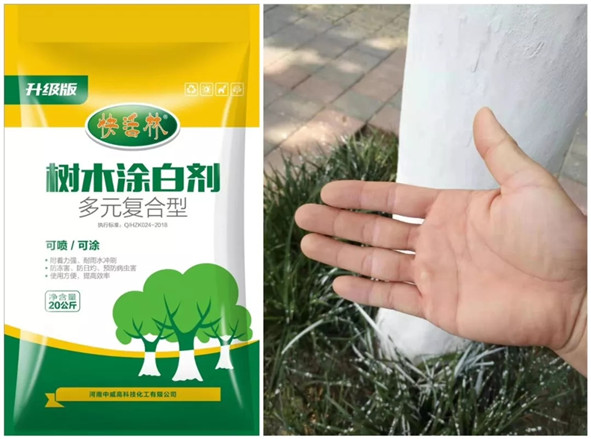 樹(shù)木涂白季來(lái)了快活林告訴你樹(shù)木涂白劑的那些事