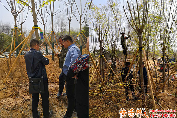 快活林吊針液使用