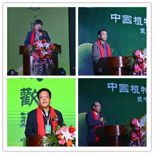中威,中威春雨,中威二十周年慶典，匠心中威