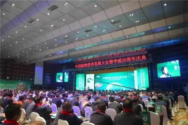 中威,中威春雨,中威二十周年慶典，匠心中威