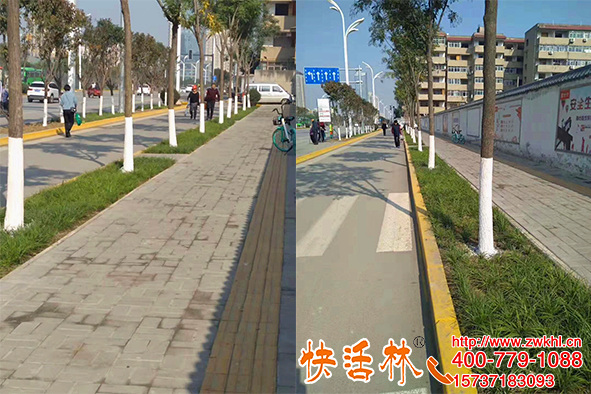 快活林涂白劑多少錢？黑龍江大慶辛經(jīng)理說省的人工成本比貨還要高