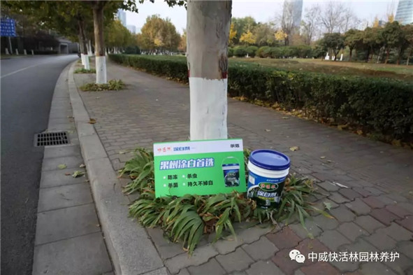中威快活林-快活林涂白劑真的不簡單！