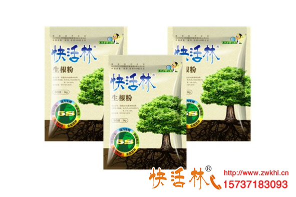 移栽樹木生根粉是什么，怎么用效果好澆多了會燒根嗎