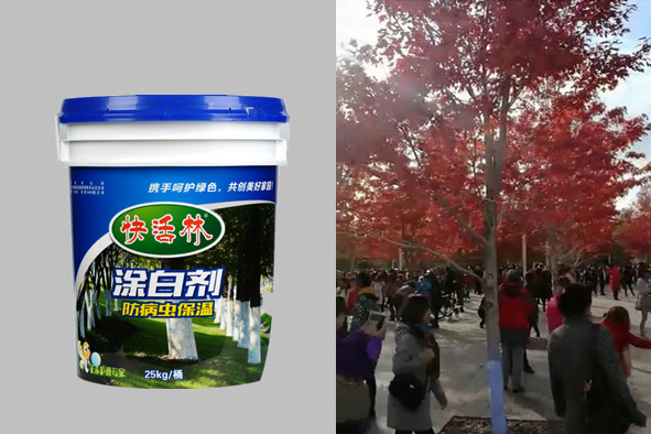 快活林樹干涂白劑廠家名不虛傳，涂刷美國紅楓耐用持續(xù)還久