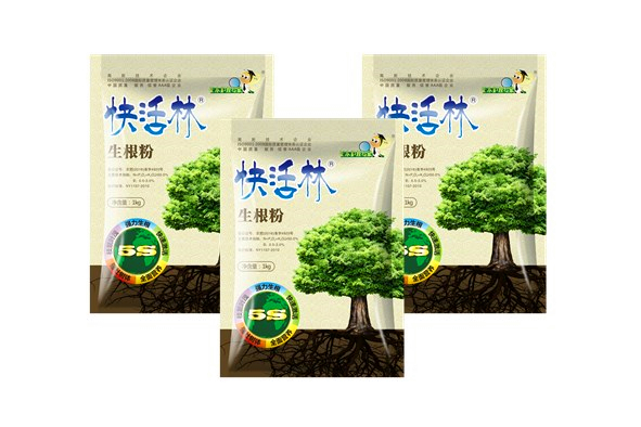 快活林苗木生根粉真好用，周口賀經(jīng)理楸樹為什么長得這么快