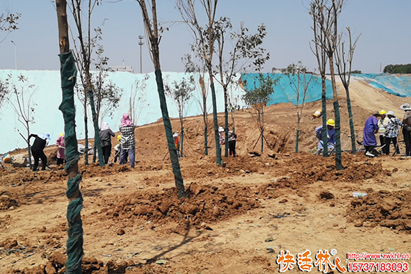 快活林工地養(yǎng)護(hù)