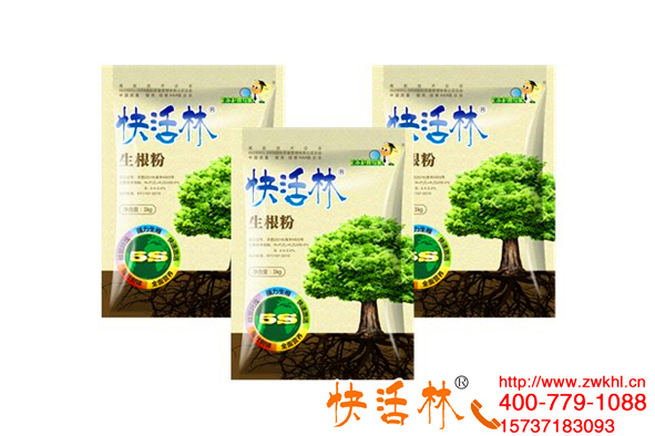 生根劑品牌排行榜是真的嗎，該怎么選擇好用的生根劑
