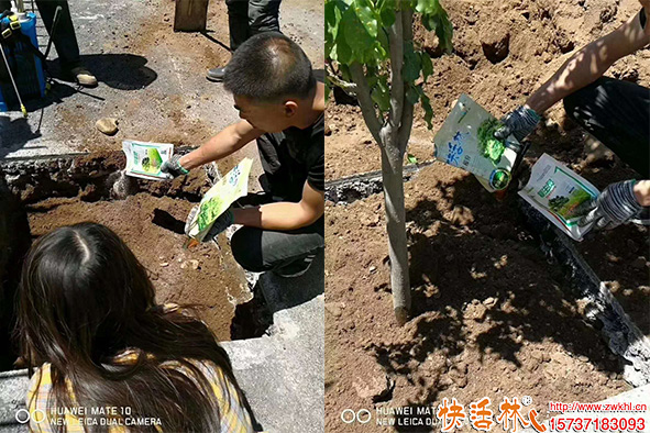 快活林生根粉復(fù)生靈搭檔