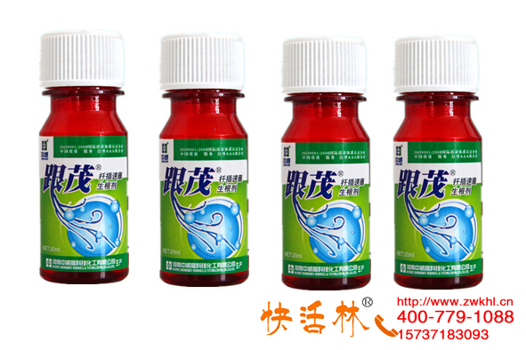 河北廊坊張經(jīng)理扦插十五萬株月季用快活林強(qiáng)力生根劑一周就有變化
