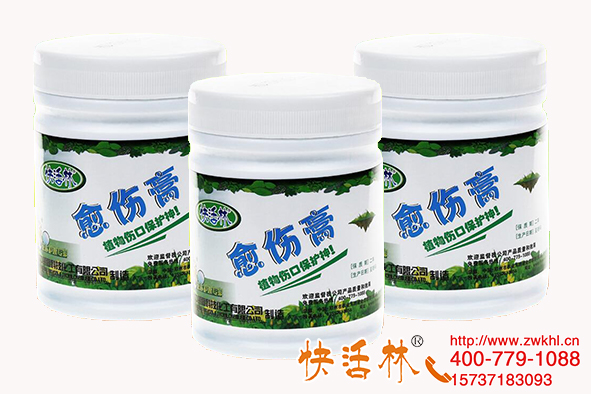 快活林盆景傷口愈合劑家中常備，樹樁強(qiáng)效保護(hù)恢復(fù)快避免脫水