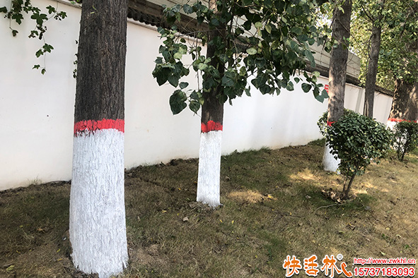 快活林涂白劑使用