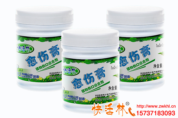 西安果樹愈合劑哪個牌子的好，蘋果樹腐爛病該怎么治療